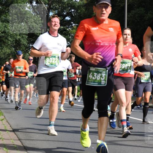 13.09.2026 - 21. swb-Marathon Bremen TobiasT http://msf.ph/oto/10283648 13.09.2026 12:05:57 Laufen 9022, 423742, 195, 42, 1932, 7420, 4383, 6967 meine-sportfotos.de
