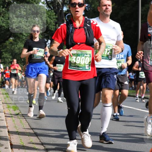 13.09.2026 - 21. swb-Marathon Bremen TobiasT http://msf.ph/oto/10283739 13.09.2026 12:06:17 Laufen 2172, 3900, 21, 026, 6 meine-sportfotos.de