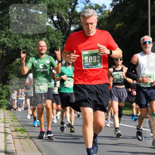 13.09.2026 - 21. swb-Marathon Bremen TobiasT http://msf.ph/oto/10283832 13.09.2026 12:06:40 Laufen 7066, 4983, 8092, 7619, 21, 25 meine-sportfotos.de