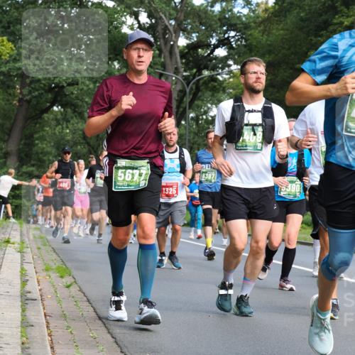 13.09.2026 - 21. swb-Marathon Bremen TobiasT http://msf.ph/oto/10284148 13.09.2026 12:08:00 Laufen 496, 409, 5677, 1325, 8397, 5390 meine-sportfotos.de