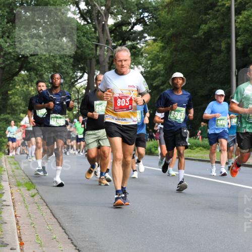 13.09.2026 - 21. swb-Marathon Bremen TobiasT http://msf.ph/oto/10284303 13.09.2026 12:08:44 Laufen 300, 13105, 254, 803, 8683, 4812 meine-sportfotos.de