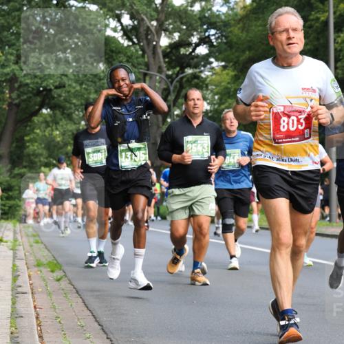 13.09.2026 - 21. swb-Marathon Bremen TobiasT http://msf.ph/oto/10284315 13.09.2026 12:08:46 Laufen 3007, 2543, 13, 803, 21, 048, 9 meine-sportfotos.de