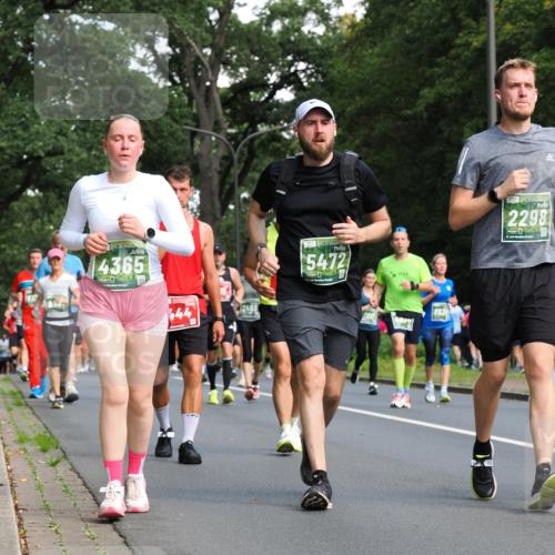 13.09.2026 - 21. swb-Marathon Bremen TobiasT http://msf.ph/oto/10284469 13.09.2026 12:09:06 Laufen 4365, 444, 5472, 7211, 8539, 2298, 21 meine-sportfotos.de