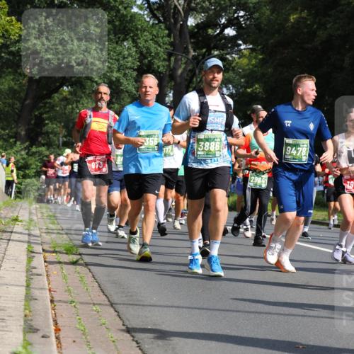 13.09.2026 - 21. swb-Marathon Bremen TobiasT http://msf.ph/oto/10284559 13.09.2026 12:09:34 Laufen 3886, 2984, 14, 14, 9478, 19 meine-sportfotos.de