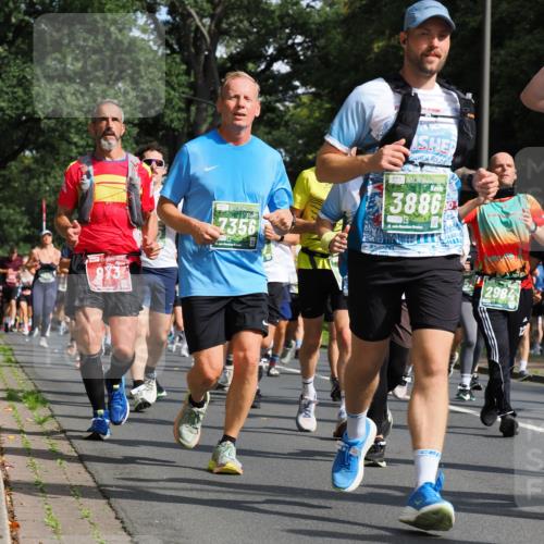 13.09.2026 - 21. swb-Marathon Bremen TobiasT http://msf.ph/oto/10284573 13.09.2026 12:09:36 Laufen 7356, 3886, 2984 meine-sportfotos.de