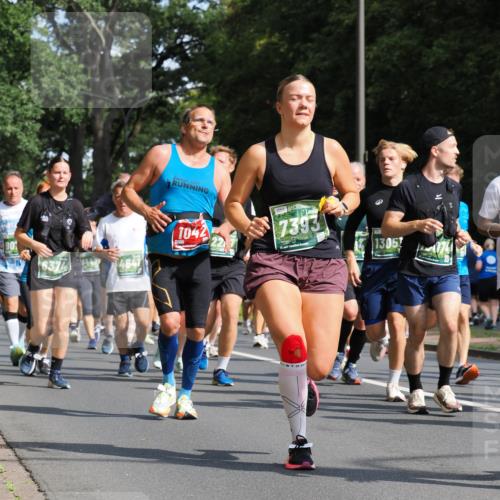 13.09.2026 - 21. swb-Marathon Bremen TobiasT http://msf.ph/oto/10284876 13.09.2026 12:10:36 Laufen 6374, 1042, 7393, 21, 26, 1305 meine-sportfotos.de