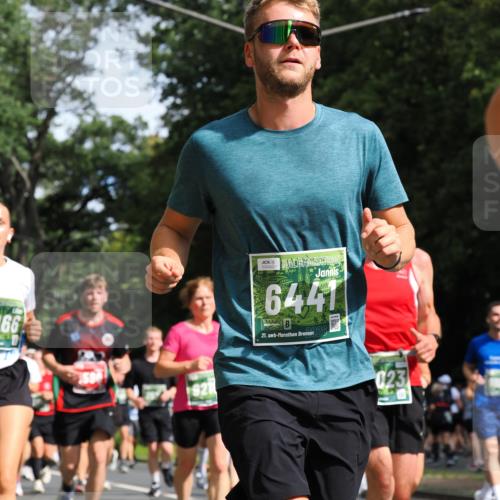 13.09.2026 - 21. swb-Marathon Bremen TobiasT http://msf.ph/oto/10285269 13.09.2026 12:11:43 Laufen 6441, 66, 21, 023 meine-sportfotos.de