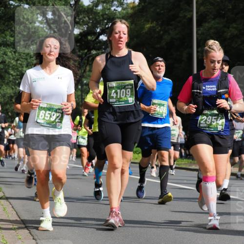 13.09.2026 - 21. swb-Marathon Bremen TobiasT http://msf.ph/oto/10285383 13.09.2026 12:12:18 Laufen 6592, 4109, 5991, 21, 126, 406, 2954, 8656 meine-sportfotos.de