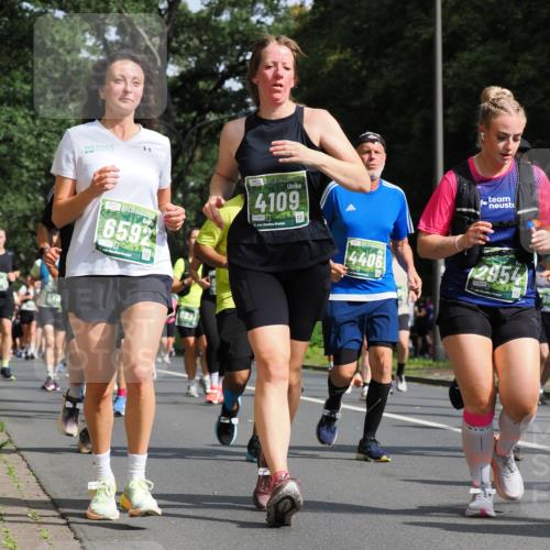 13.09.2026 - 21. swb-Marathon Bremen TobiasT http://msf.ph/oto/10285390 13.09.2026 12:12:18 Laufen 6592, 26, 4109, 5991, 21, 4406, 2954 meine-sportfotos.de