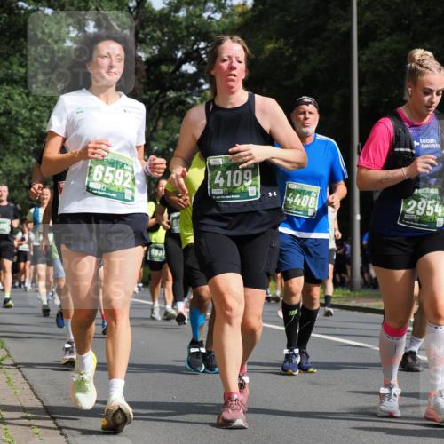 13.09.2026 - 21. swb-Marathon Bremen TobiasT http://msf.ph/oto/10285398 13.09.2026 12:12:18 Laufen 6592, 26, 4109, 5991, 21, 26, 1993, 4406, 2954, 8656, 21, 6831 meine-sportfotos.de