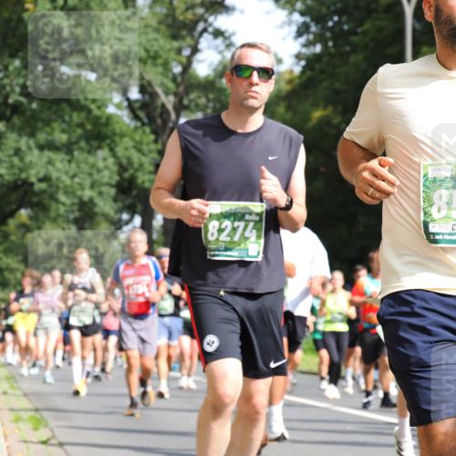13.09.2026 - 21. swb-Marathon Bremen TobiasT http://msf.ph/oto/10285441 13.09.2026 12:12:34 Laufen 8274, 85, 7072, 21 meine-sportfotos.de