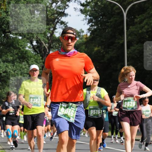 13.09.2026 - 21. swb-Marathon Bremen TobiasT http://msf.ph/oto/10285555 13.09.2026 12:13:26 Laufen 8362, 6666, 780, 2426, 9519, 9628, 7380 meine-sportfotos.de