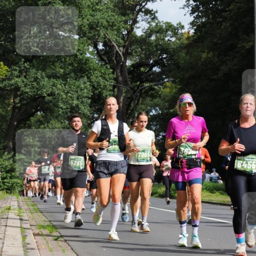 13.09.2026 - 21. swb-Marathon Bremen TobiasT http://msf.ph/oto/10285890 13.09.2026 12:15:33 Laufen 5285, 7065, 367, 8455 meine-sportfotos.de