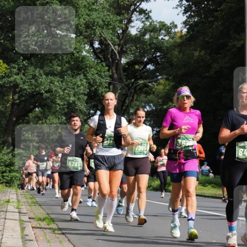 13.09.2026 - 21. swb-Marathon Bremen TobiasT http://msf.ph/oto/10285895 13.09.2026 12:15:33 Laufen 5285, 7065 meine-sportfotos.de