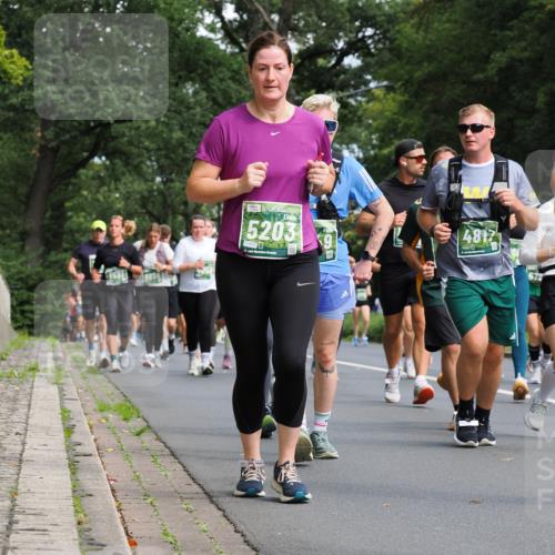 13.09.2026 - 21. swb-Marathon Bremen TobiasT http://msf.ph/oto/10285980 13.09.2026 12:16:10 Laufen 5203, 9037, 21, 4817 meine-sportfotos.de