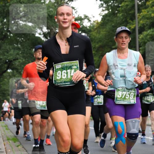 13.09.2026 - 21. swb-Marathon Bremen TobiasT http://msf.ph/oto/10286673 13.09.2026 12:18:44 Laufen 863, 9614, 21, 20, 8308, 3759, 21, 246, 3129 meine-sportfotos.de