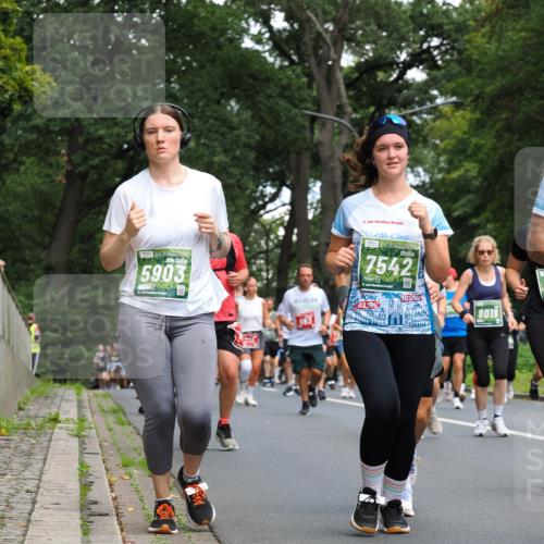 13.09.2026 - 21. swb-Marathon Bremen TobiasT http://msf.ph/oto/10286999 13.09.2026 12:19:57 Laufen 5903, 21, 21, 26, 7542, 21, 42, 195, 10, 000, 8019 meine-sportfotos.de
