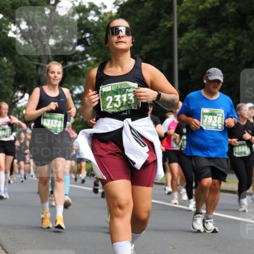 13.09.2026 - 21. swb-Marathon Bremen TobiasT http://msf.ph/oto/10287122 13.09.2026 12:20:32 Laufen 13138, 2313, 7938, 9865 meine-sportfotos.de