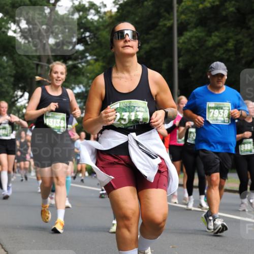 13.09.2026 - 21. swb-Marathon Bremen TobiasT http://msf.ph/oto/10287131 13.09.2026 12:20:32 Laufen 13138, 2313, 7938, 19865 meine-sportfotos.de