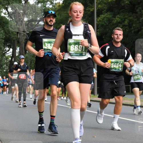 13.09.2026 - 21. swb-Marathon Bremen TobiasT http://msf.ph/oto/10287153 13.09.2026 12:20:37 Laufen 971, 383, 6691, 9664, 5638 meine-sportfotos.de