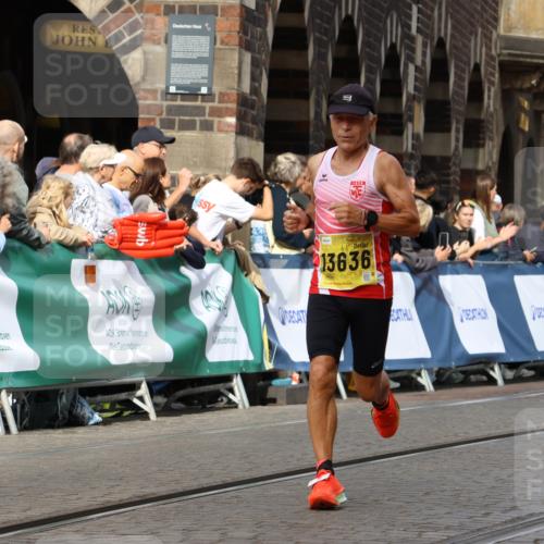 13.09.2026 - 21. swb-Marathon Bremen Strokosch-Dieckow http://msf.ph/oto/10287439 13.09.2026 10:38:21 Ziel 10302, 11083, 11142, 12538, 13551, 13559, 13584, 13587, 10441, 13507, 13539 meine-sportfotos.de
