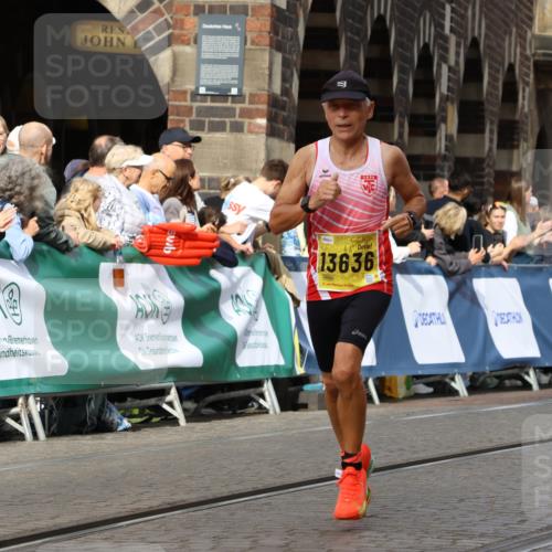 13.09.2026 - 21. swb-Marathon Bremen Strokosch-Dieckow http://msf.ph/oto/10287459 13.09.2026 10:38:21 Ziel 10302, 11083, 11142, 12538, 13551, 13559, 13584, 13587, 10441, 13507, 13539 meine-sportfotos.de