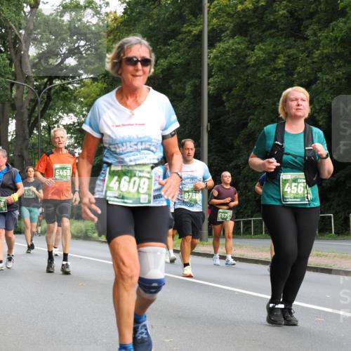 13.09.2026 - 21. swb-Marathon Bremen TobiasT http://msf.ph/oto/10287654 13.09.2026 12:22:26 Laufen 36, 476, 5459, 4609, 9739, 5527, 456 meine-sportfotos.de