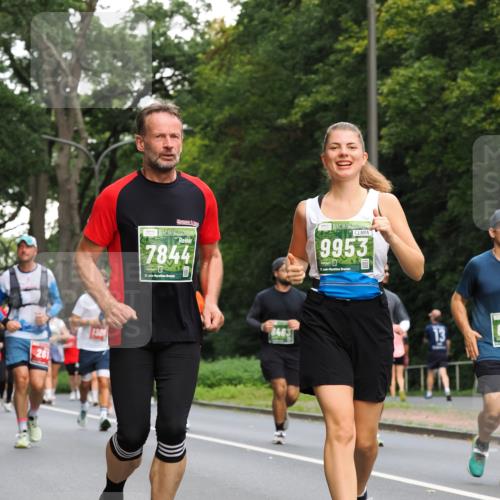 13.09.2026 - 21. swb-Marathon Bremen TobiasT http://msf.ph/oto/10288061 13.09.2026 12:24:03 Laufen 261, 7844, 21, 8463, 9953, 21 meine-sportfotos.de