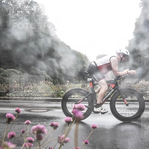 13.09.2026 - Stadtparktriathlon H.Heesch http://msf.ph/oto/10288116 13.09.2026 12:41:58 Radfahren 1107, 1147, 1161, 1184, 1234, 1253, 1284, 1287, 1292 meine-sportfotos.de