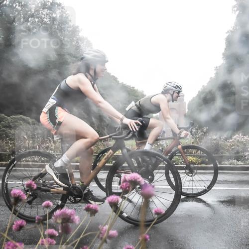 13.09.2026 - Stadtparktriathlon H.Heesch http://msf.ph/oto/10288128 13.09.2026 12:42:01 Radfahren 1089, 1107, 1161, 1184, 1253, 1284, 1287, 1292, 1293 meine-sportfotos.de