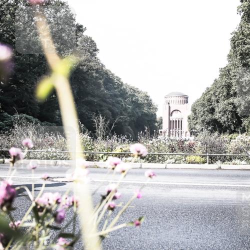 13.09.2026 - Stadtparktriathlon H.Heesch http://msf.ph/oto/10288186 13.09.2026 11:28:12 Radfahren 602, 635, 668, 720 meine-sportfotos.de