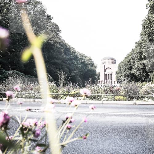 13.09.2026 - Stadtparktriathlon H.Heesch http://msf.ph/oto/10288192 13.09.2026 11:28:13 Radfahren 630, 635, 668, 670, 720 meine-sportfotos.de