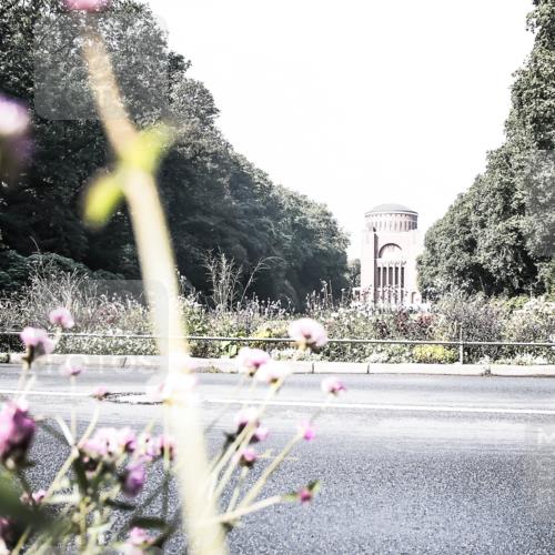13.09.2026 - Stadtparktriathlon H.Heesch http://msf.ph/oto/10288194 13.09.2026 11:28:13 Radfahren 630, 635, 668, 670, 720 meine-sportfotos.de