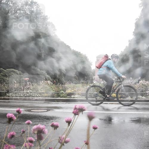 13.09.2026 - Stadtparktriathlon H.Heesch http://msf.ph/oto/10288258 13.09.2026 12:43:02 Radfahren 1084, 1290, 1303 meine-sportfotos.de