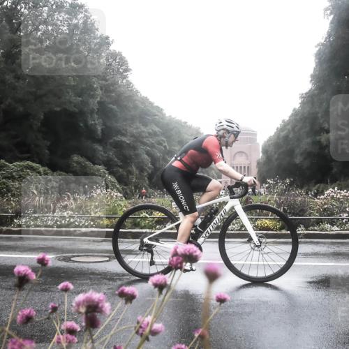 13.09.2026 - Stadtparktriathlon H.Heesch http://msf.ph/oto/10288361 13.09.2026 12:44:26 Radfahren 978, 1075, 1170, 1221, 1230, 1252, 1307 meine-sportfotos.de