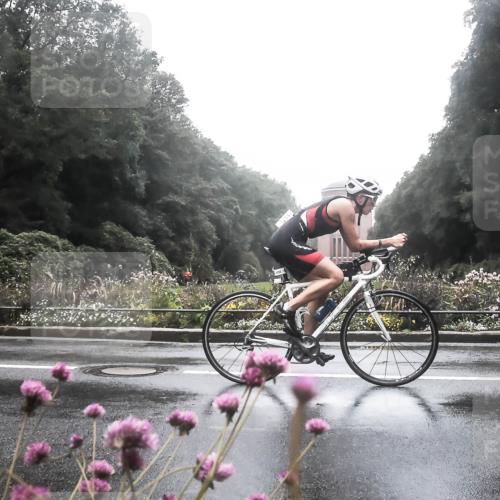 13.09.2026 - Stadtparktriathlon H.Heesch http://msf.ph/oto/10288370 13.09.2026 12:44:29 Radfahren 978, 1129, 1170, 1221, 1252 meine-sportfotos.de