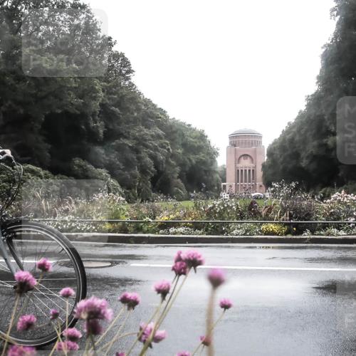 13.09.2026 - Stadtparktriathlon H.Heesch http://msf.ph/oto/10288420 13.09.2026 12:44:54 Radfahren 1078, 1102, 1233, 1247, 1258, 1302 meine-sportfotos.de