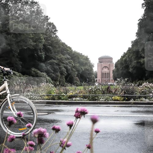 13.09.2026 - Stadtparktriathlon H.Heesch http://msf.ph/oto/10288535 13.09.2026 12:46:14 Radfahren 1052, 1082, 1158, 1269 meine-sportfotos.de