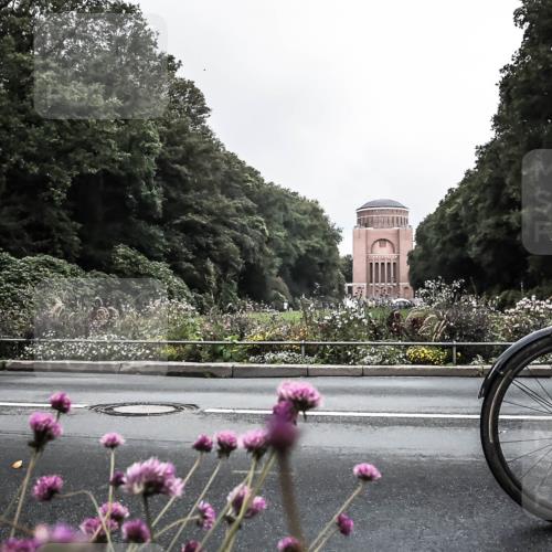 13.09.2026 - Stadtparktriathlon H.Heesch http://msf.ph/oto/10288624 13.09.2026 11:36:01 Radfahren 713, 716, 721, 794, 798, 862 meine-sportfotos.de