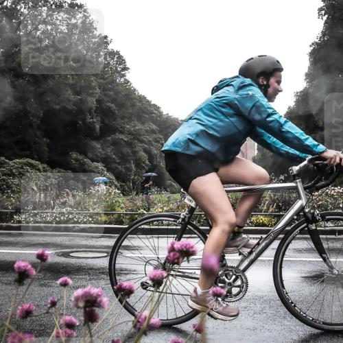 13.09.2026 - Stadtparktriathlon H.Heesch http://msf.ph/oto/10288719 13.09.2026 12:48:09 Radfahren 1091, 1128, 1163, 1224, 1231, 1268, 1291 meine-sportfotos.de