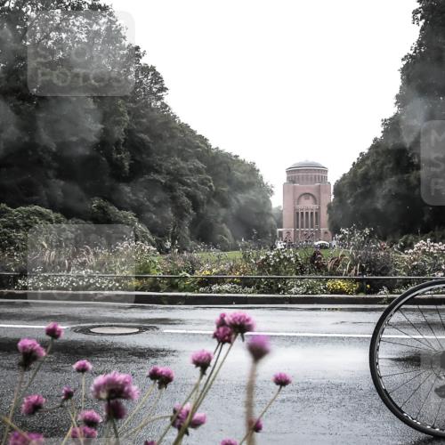 13.09.2026 - Stadtparktriathlon H.Heesch http://msf.ph/oto/10288757 13.09.2026 12:48:32 Radfahren 1127, 1186, 1235, 1271, 1272 meine-sportfotos.de