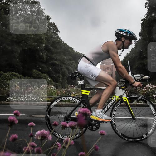 13.09.2026 - Stadtparktriathlon H.Heesch http://msf.ph/oto/10288842 13.09.2026 11:38:27 Radfahren 589, 874, 945 meine-sportfotos.de
