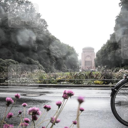 13.09.2026 - Stadtparktriathlon H.Heesch http://msf.ph/oto/10289074 13.09.2026 12:51:07 Radfahren 1097, 1113, 1139, 1141, 1167, 1216 meine-sportfotos.de