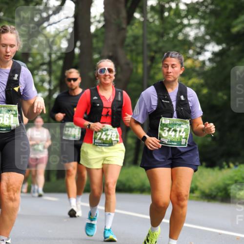 13.09.2026 - 21. swb-Marathon Bremen TobiasT http://msf.ph/oto/10289280 13.09.2026 12:27:57 Laufen 561, 3266, 7479, 3414, 6799, 21 meine-sportfotos.de