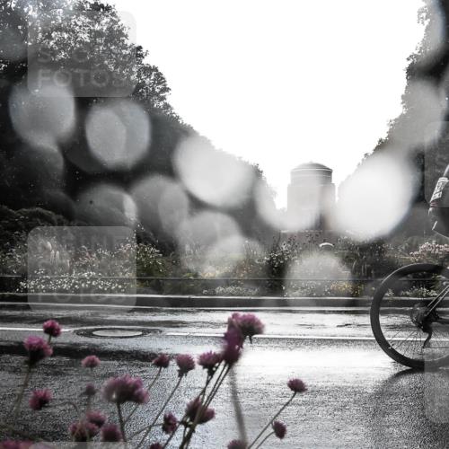 13.09.2026 - Stadtparktriathlon H.Heesch http://msf.ph/oto/10289542 13.09.2026 11:45:00 Radfahren 763, 769, 852, 880 meine-sportfotos.de