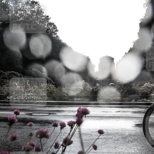 13.09.2026 - Stadtparktriathlon H.Heesch http://msf.ph/oto/10289622 13.09.2026 11:46:08 Radfahren 724, 733, 788, 803, 824, 871, 874, 907 meine-sportfotos.de