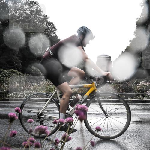 13.09.2026 - Stadtparktriathlon H.Heesch http://msf.ph/oto/10289861 13.09.2026 11:48:49 Radfahren 787, 804, 807 meine-sportfotos.de