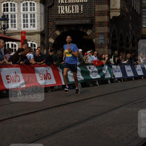 13.09.2026 - 21. swb-Marathon Bremen Strokosch-Dieckow http://msf.ph/oto/10289950 13.09.2026 10:44:38 Ziel 10956, 11108, 11148, 11438, 11644, 11758, 10266, 10628, 11692, 11704, 12302, 12425 meine-sportfotos.de