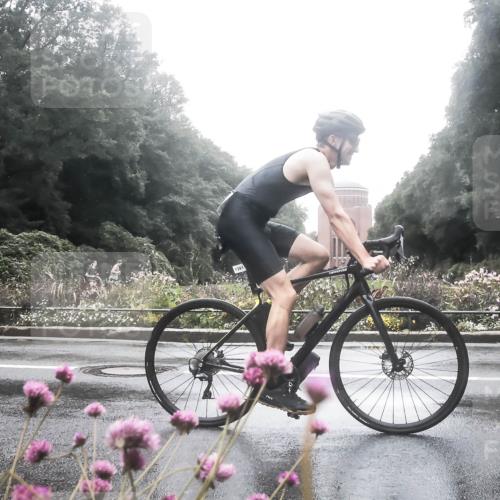 13.09.2026 - Stadtparktriathlon H.Heesch http://msf.ph/oto/10289964 13.09.2026 12:59:05 Radfahren 1118, 1249, 1264, 1322, 1344, 1391, 1401 meine-sportfotos.de