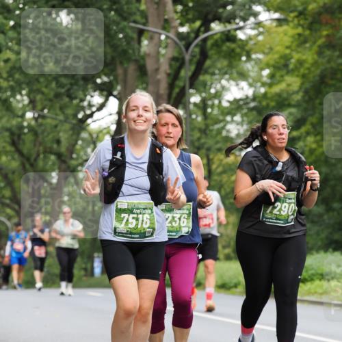13.09.2026 - 21. swb-Marathon Bremen TobiasT http://msf.ph/oto/10290422 13.09.2026 12:31:07 Laufen 7516, 236, 5586, 21, 290, 21 meine-sportfotos.de
